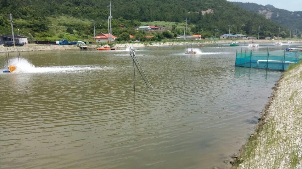 Goheung, Jeonnam (2016.07) — Feed: 1 ton processed feed + 1 L liquid fertilizer.